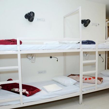 The Charlie'S Hostel Yeni Delhi Dış mekan fotoğraf