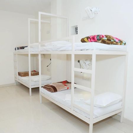 The Charlie'S Hostel Yeni Delhi Dış mekan fotoğraf