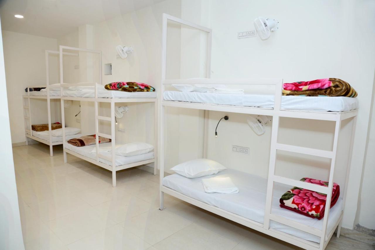 The Charlie'S Hostel Yeni Delhi Dış mekan fotoğraf