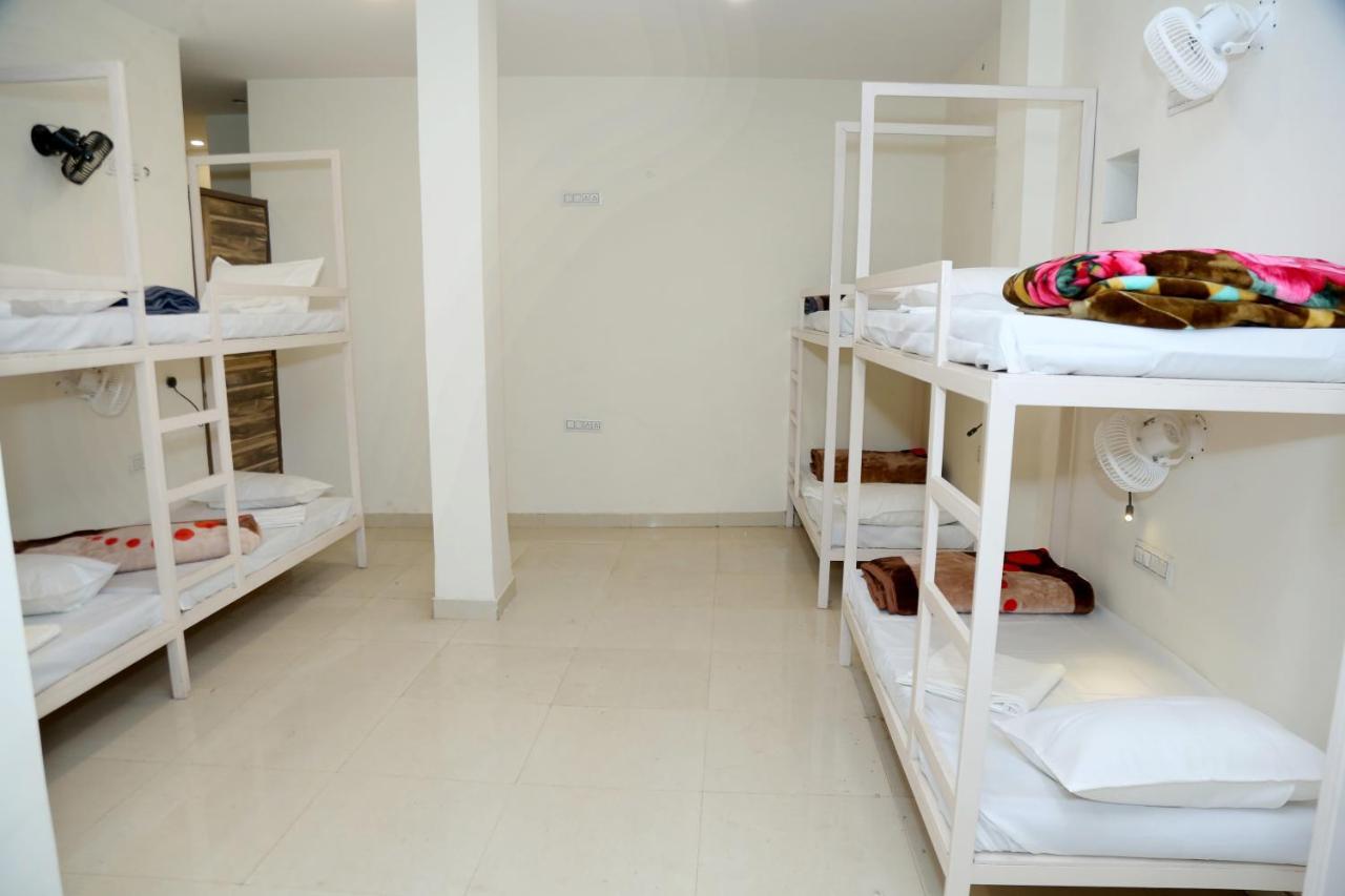 The Charlie'S Hostel Yeni Delhi Dış mekan fotoğraf