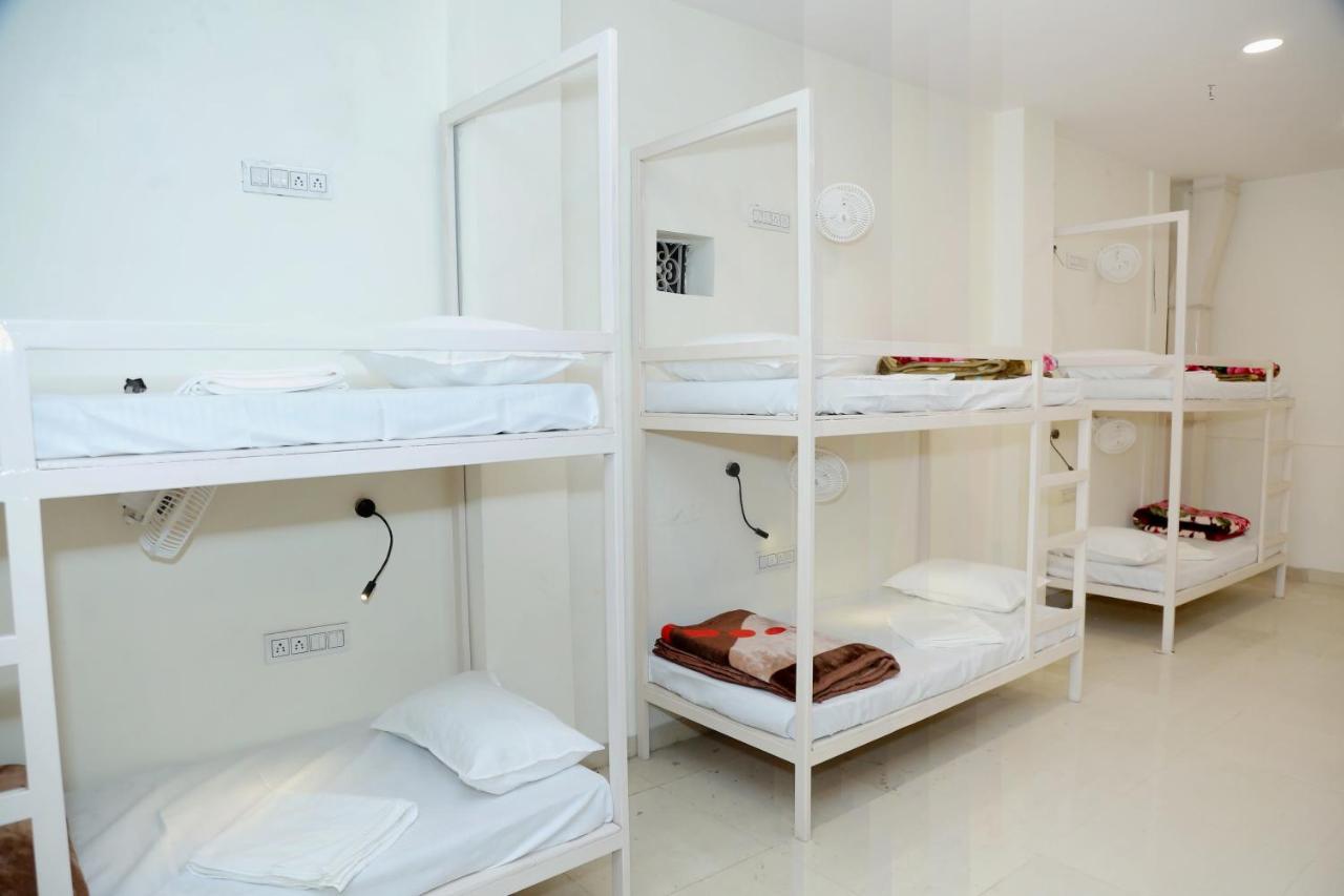 The Charlie'S Hostel Yeni Delhi Dış mekan fotoğraf