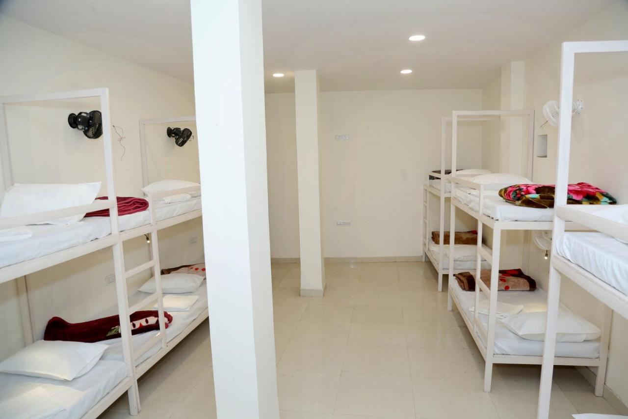 The Charlie'S Hostel Yeni Delhi Dış mekan fotoğraf