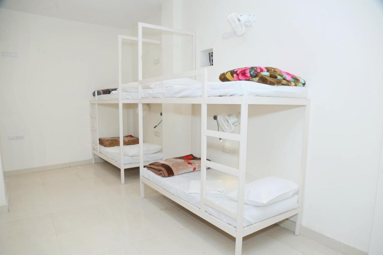 The Charlie'S Hostel Yeni Delhi Dış mekan fotoğraf